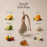 Nuvair Car Fragrance | Xerjoff Erba Pura Inspired